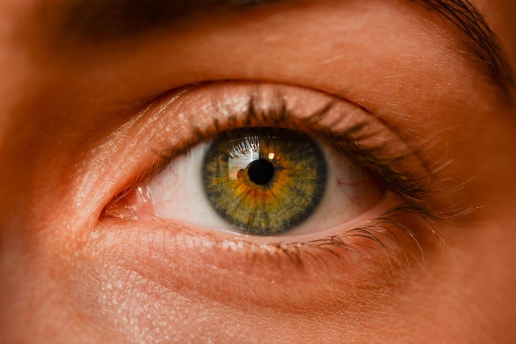 eye, iris, sight, eyebrows, detailed, girl, human, view, green iris, face, eye, eye, eye, eye, eye