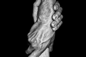 hands, unity, human, people, unity, unity, unity, unity, unity